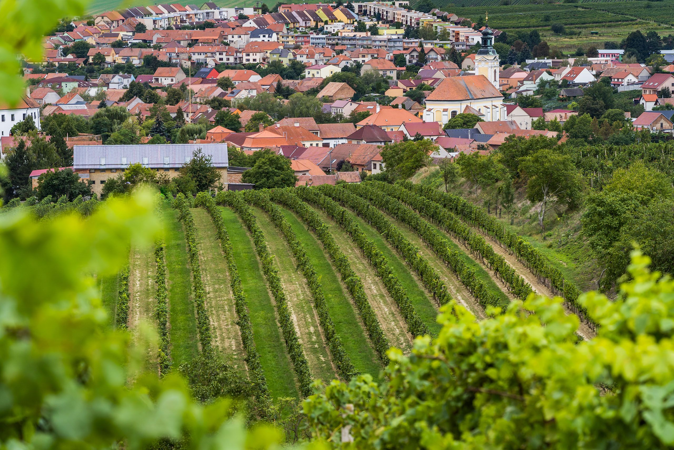 VÍNO FABIÁN rodinné vinařství a ubytování Čejkovice